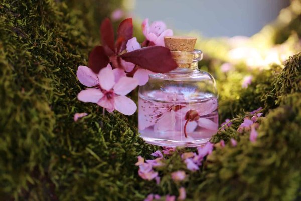 Jo Malone духи Rose