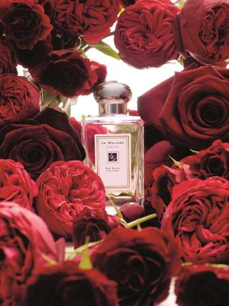Creed Love in White for Summer 75 ml