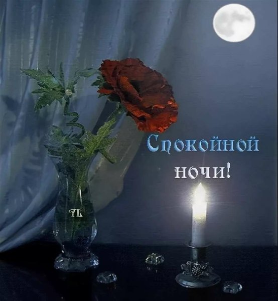 Доброй летней ночи