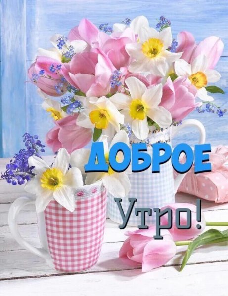 Яркие цветы с добрым утром