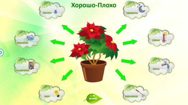 Растения для дошкольников