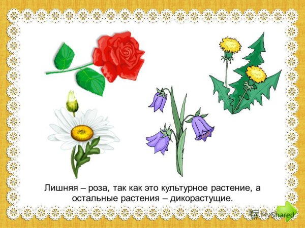Цветы задания для детей