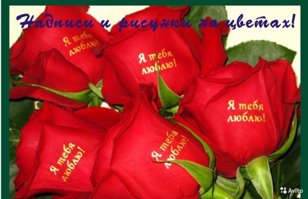 Роза Валентина