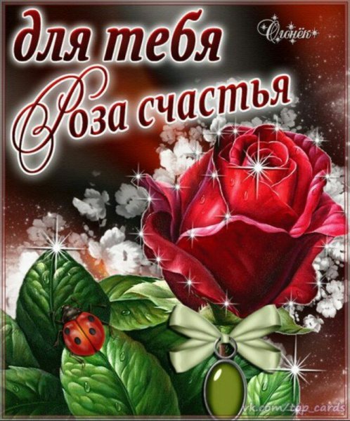 Букет цветов с добрым утром