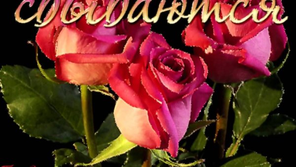 Самые лучшие цветы для Оли