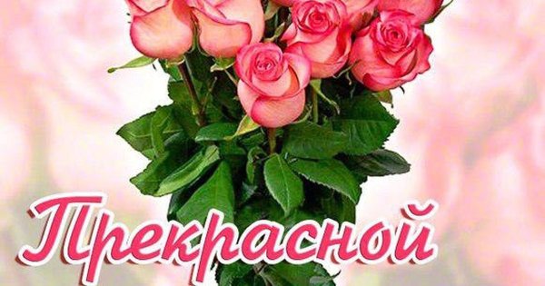 С днём рождения красавица открытки