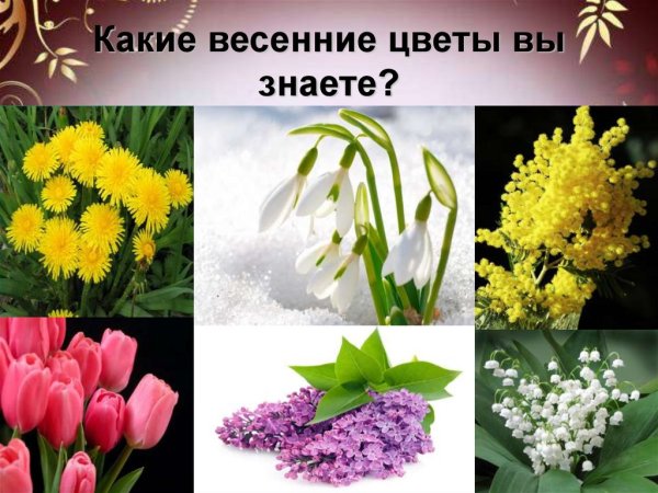 Первые весенние цветы для детского сада
