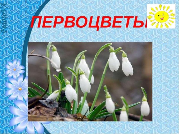 Весенние первоцветы для детей