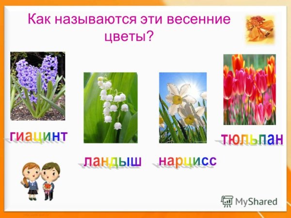 Первоцветы карточки с названиями для детей