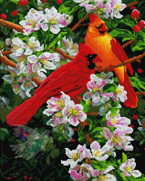 Цветок Колибри Хуа