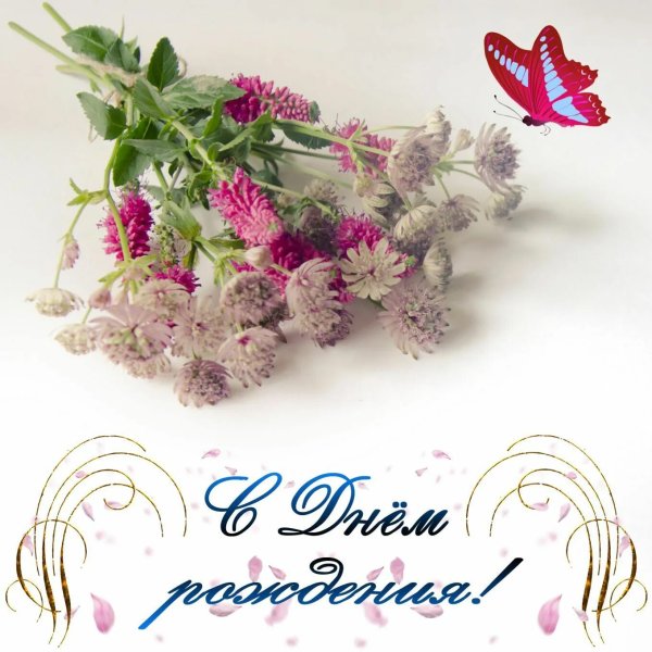 Полевые цветы