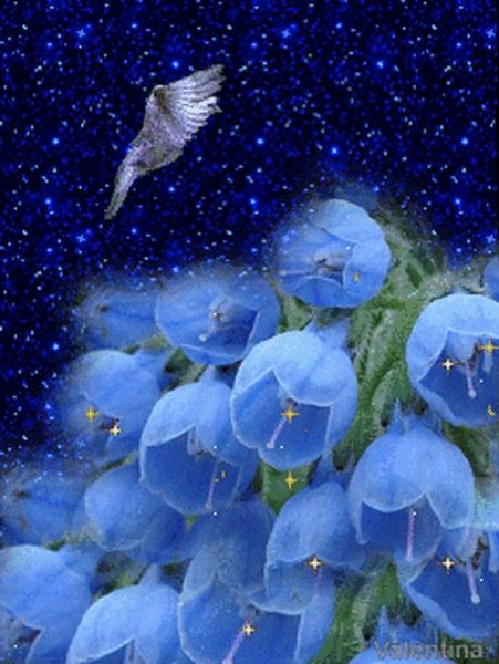 Художник Collin Bogle