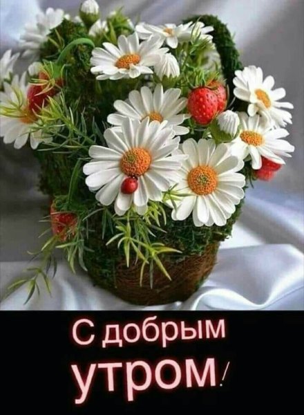 Хризантемы с пожеланиями