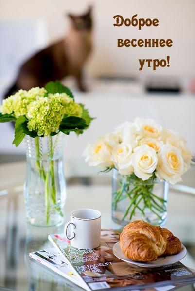 Доброе утро с георгинами