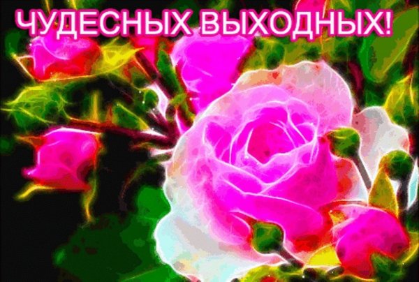 Чудесных выходных и прекрасного