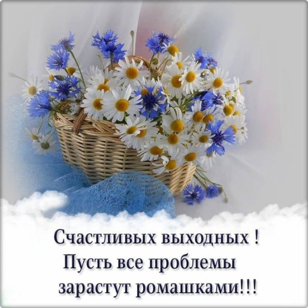 Ромашки с васильками