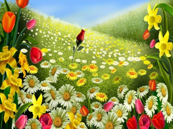 Полянка с цветами и бабочками