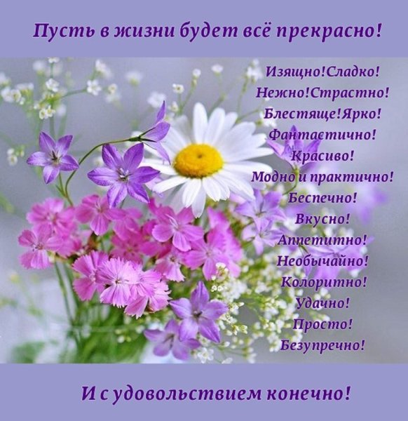 Утренние ромашки