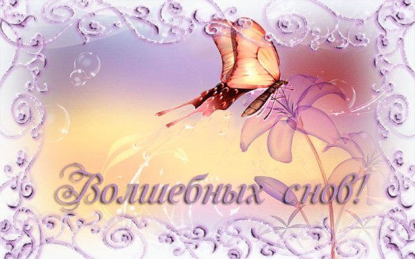 Открытки спокойной ночи с бабочками