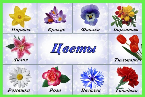 Названия цветов для детей