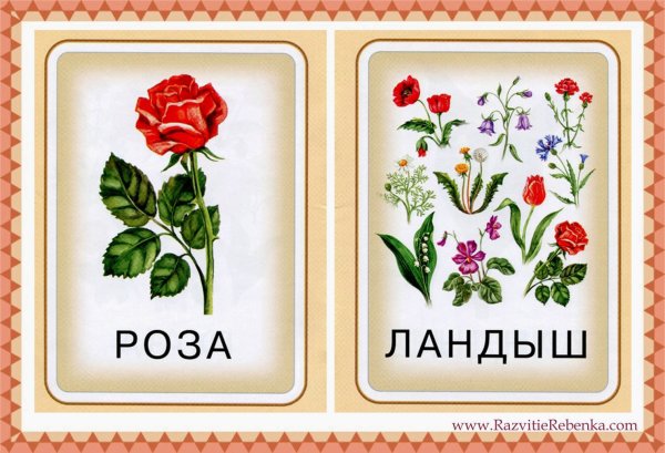Карточки с цветами
