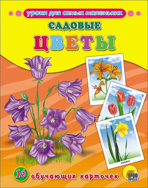 Обучающие карточки "цветы"