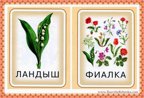 Карточки с изображением цветов