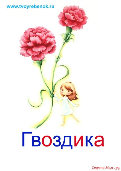 Карточки Домана цветы для детей