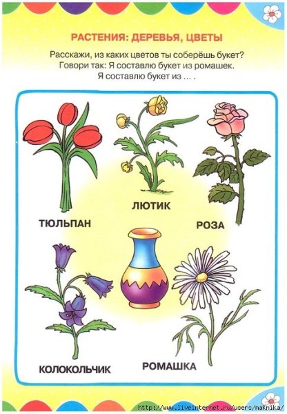 Растения задания для дошкольников