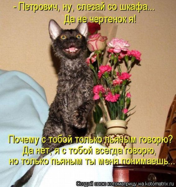 Открытки с животными смешные с надписями бесплатно