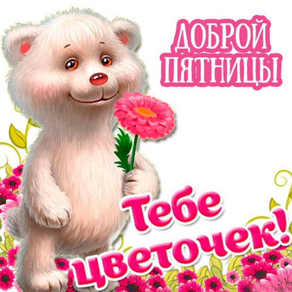 Красивые открытки для девушки