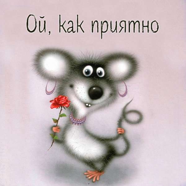 День рождения мышонка