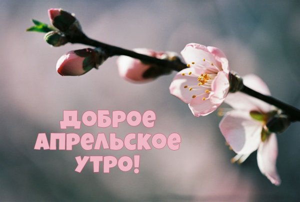 С добрым апрельским утром