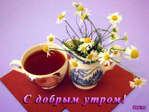 Тюльпаны на окне