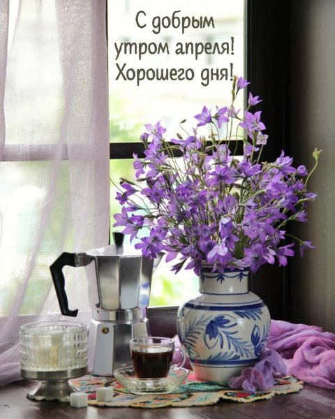 Доброе утро цветы