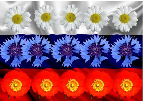 Цветы из российского триколора