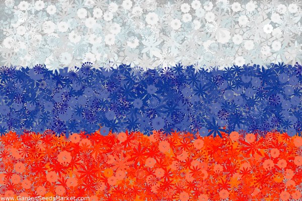 Флаг России
