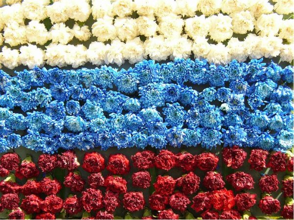 Российский флаг из цветов
