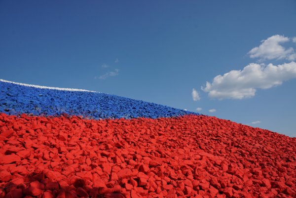 Флаг России из цветов