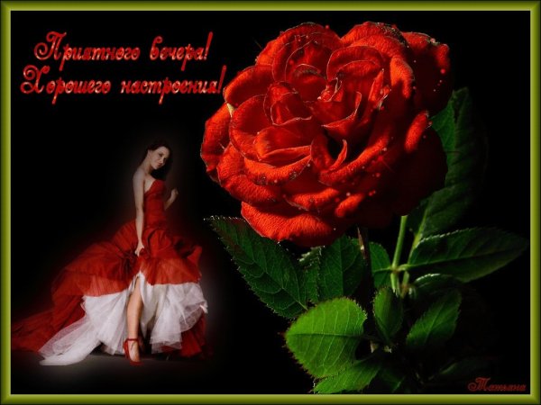 Анимационные открытки