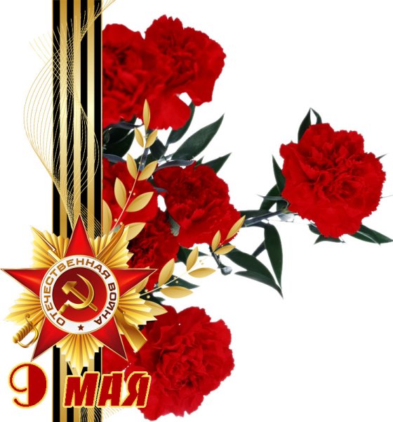 Гвоздики фон