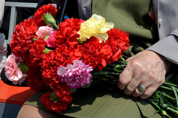 Георгиевская лента с гвоздикой