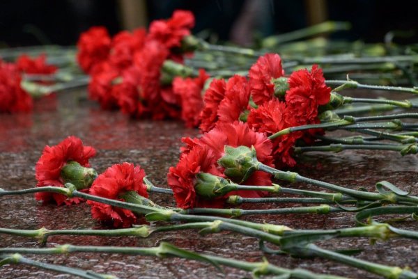 Гвоздики на мемориале