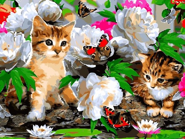 Фиолетовый котик