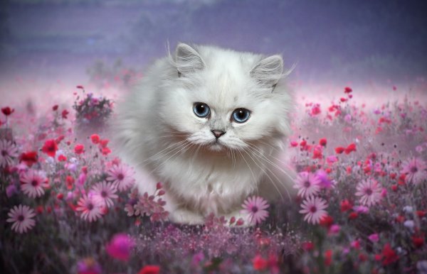 Котенок с цветами