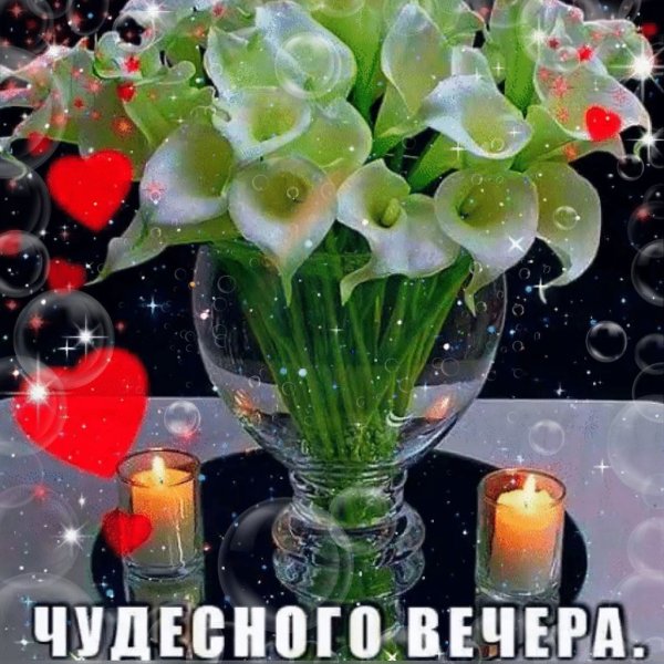 Вечерние цветы
