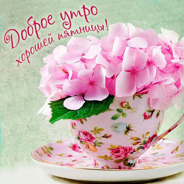 Цветы в кружке