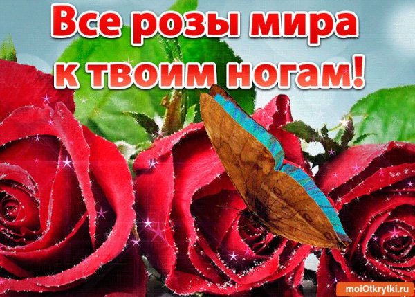 Открытка цветы у твоих ног