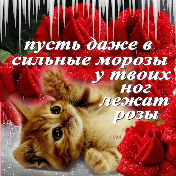 Ноги в цветах