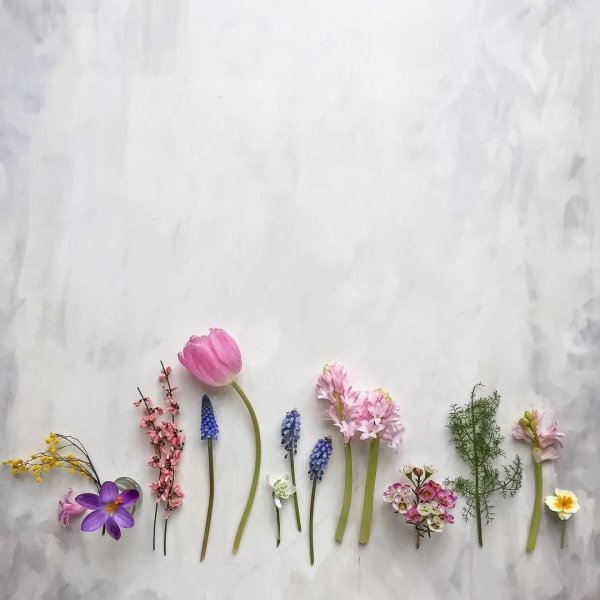 Весенние цветы Минимализм